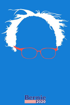 Bernie Sanders 2020 Hair and Glasses Campaign Cool Wall Art Print Poster 24x36