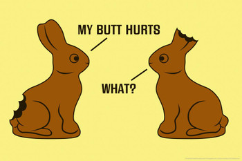 My Butt Hurts. What Chocolate Bunnies Humor Laminated Dry Erase Sign Poster 18x12