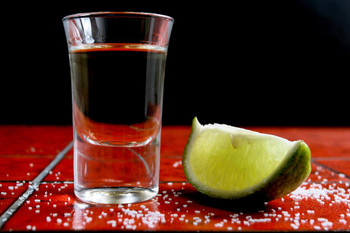 Laminated Tequila Shot with Salt and a Lime Wedge Photo Art Print Poster Dry Erase Sign 18x12