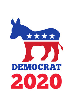 Vote Democrat 2020 Presidential Election Beat Trump Donkey Logo White Cool Wall Decor Art Print Poster 12x18