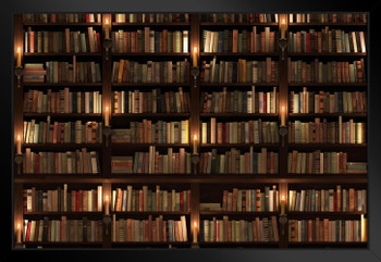 Old Books Two Storied Bookshelf Library Black Wood Framed Art Poster 20x14