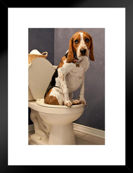 Dog Sitting On Toilet Funny Bathroom Humor Photo Dog Posters For Wall Funny Dog Wall Art Dog Wall Decor Dog Posters For Kids Animal Wall Poster Cute Animal Matted Framed Art Wall Decor 20x26