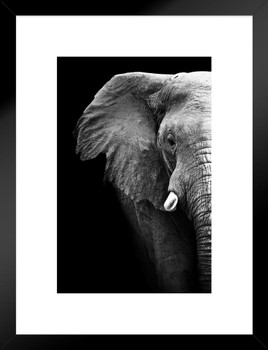 Black and White Elephant Partial Monochrome Art African Elephant Wall Art Elephant Posters For Wall Elephant Art Print Elephants Wall Decor Photo Elephant Tusk Matted Framed Art Wall Decor 20x26