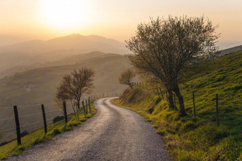 Countryside Winding Road Nature Landscape Photo Cool Wall Decor Art Print Poster 36x24