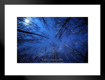 Imagination Keep Your Eyes on the Stars Motivational Theodore Roosevelt Quote Forest Trees Night Sky Matted Framed Art Wall Decor 20x26