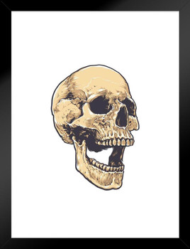 Grunge Skull Anatomical Artistic Drawing Matted Framed Wall Art Print 20x26 inch