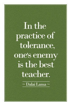 Dalai Lama In The Practice Of Tolerance Ones Enemy Is The Best Teacher Motivational Cool Wall Art Print Poster 12x18