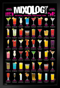 Mixology Cocktail Mixed Drinks Chart Black Wood Framed Art Poster 14x20