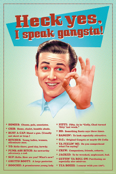 Heck Yes I Speak Gangsta Funny Cool Wall Decor Art Print Poster 12x18