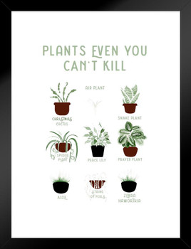 Plants Even You cant Kill Succulents Funny Matted Framed Art Print Wall Decor 20x26 inch