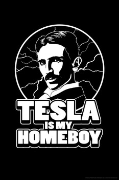 Tesla Is My Homeboy Funny Cool Wall Art Print Poster 12x18