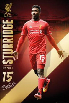 Liverpool FC Daniel Sturridge Soccer Sports Cool Wall Decor Art Print Poster 24x36