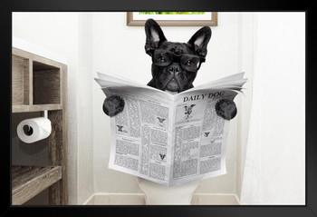 French Bulldog Dog Wearing Glasses on Toilet Seat Reading Daily Dog Breed Newspaper Funny Photo Photograph Fantasy Black Wood Framed Art Poster 14x20