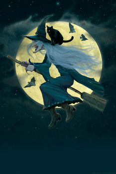 Witch Flying Broom Moon by Vincent Hie Cool Wall Decor Art Print Poster 24x36