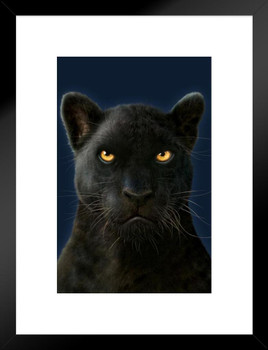 Black Panther by Vincent Hie Panther Pictures Wall Decor Jungle Animal Pictures for Wall Posters Of Wild Animals Jungle Jaguar Print Decor Animal Wall Decor Puma Matted Framed Art Wall Decor 20x26