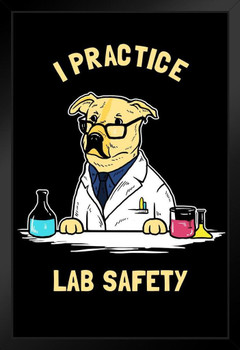 I Practice Lab Safety Labrador Dog Funny Parody LCT Creative Black Wood Framed Poster 14x20