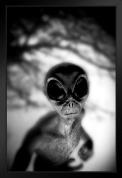 Alien Face Creepy Scary Face Black White Photo UFO Fantasy Spooky Scary Halloween Decorations Black Wood Framed Art Poster 14x20