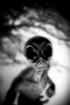 Alien Face Creepy Scary Face Black White Photo UFO Fantasy Spooky Scary Halloween Decorations Cool Wall Decor Art Print Poster 24x36