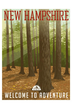 New Hampshire Forest Welcome To Adventure Retro Travel Cool Wall Decor Art Print Poster 24x36