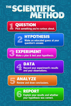 Laminated The Scientific Method Posters For Classroom Science Decorations Teacher Supplies Scienctic investigation Process Chart For Kids Poster Dry Erase Sign 12x18