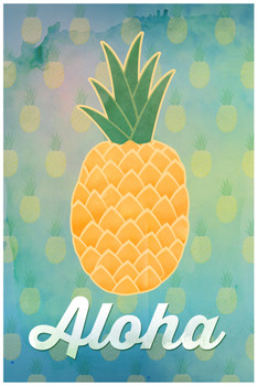 Aloha Pineapple Hawaii Hawaiian Fruit Welcome Decoration Cool Wall Art Print Poster 12x18