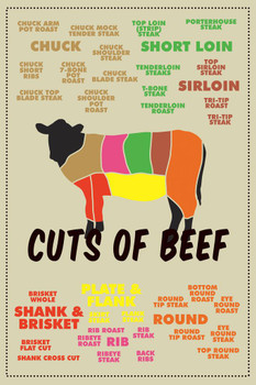 Laminated Cuts of Beef Meat Color Coded Chart Butcher Light Cow Diagram Sign Cow Pictures Wall Decor Cow Pictures Food Picture of a Cow Prints Wall Art Cow Poster Dry Erase Sign 12x18