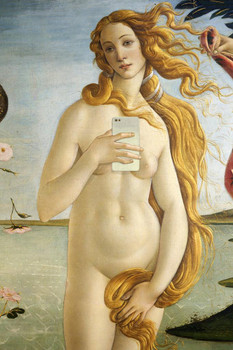 Laminated Botticelli Birth of Venus Selfie Portrait Painting Funny Poster Dry Erase Sign 12x18