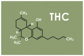 Laminated THC Marijuana Molecule Science Green Chemistry Weed Cannabis Room Dope Gifts Guys Propaganda Smoking Stoner Reefer Stoned Sign Buds Pothead Dorm Walls Poster Dry Erase Sign 12x18