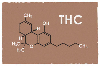 THC Marijuana Molecule Science Brown Chemistry Weed Cannabis Room Dope Gifts Guys Propaganda Smoking Stoner Reefer Stoned Sign Buds Pothead Dorm Walls Cool Wall Art Print Poster 36x24