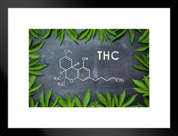 THC Marijuana Molecule Science Leaf Chalkboard Chemistry Weed Cannabis Room Dope Gifts Guys Propaganda Smoking Stoner Reefer Stoned Sign Buds Pothead Dorm Walls Matted Framed Art Wall Decor 20x26