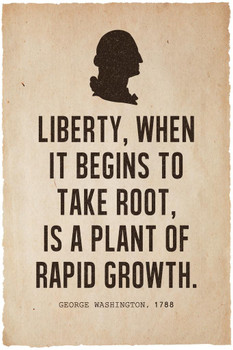 Laminated President George Washington Liberty Famous Motivational Inspirational Quote Silhouette Poster Dry Erase Sign 12x18