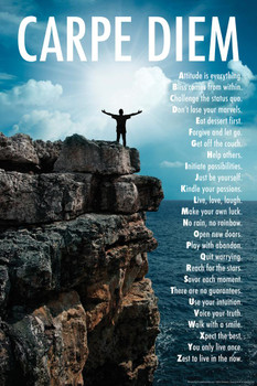 Laminated Carpe Diem AZ Mountaintop Motivational Poster Dry Erase Wall Art 24x36