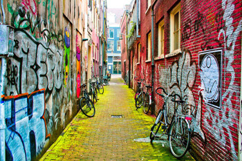 Laminated Graffiti Art in an Urban Alley Photo Art Print Poster Dry Erase Wall Art 36x24