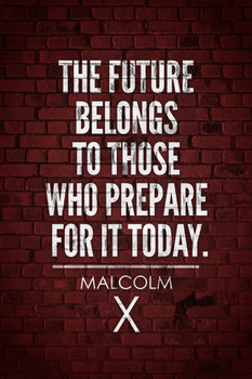 Laminated Malcolm X The Future Belongs to Those Who Prepare for It Today Motivational Civil Rights Black History Red Brick Poster Dry Erase Sign 24x36