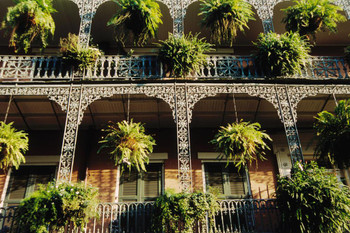 Laminated French Quarter Balconies in New Orleans Photo Art Print Poster Dry Erase Wall Art 36x24