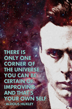 Laminated One Corner of the Universe You Can Improve Aldous Huxley Color Famous Motivational Inspirational Quote Teamwork Inspire Quotation Gratitude Positivity Motivate Poster Dry Erase Sign 24x36