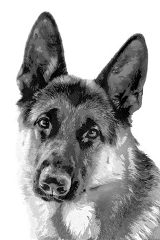 Laminated Dogs German Shepherd Painting Black White Dog Posters For Wall Dog Wall Art Dog Wall Decor Dog Posters For Kids Bedroom Animal Wall Poster Cute Animal Posters Poster Dry Erase Sign 24x36