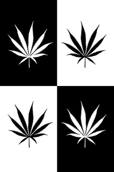 Laminated Marijuana Four Weed Pot Cannabis Joint Blunt Bong Leaves Pop Art Black And White Cool Wall Art Poster Dry Erase Sign 24x36