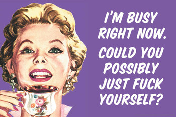 Laminated Im Busy Right Now Could You Possibly Just F*ck Yourself Humor Cool Wall Art Poster Dry Erase Sign 36x24