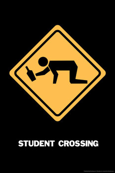 Laminated Student Crossing College Humor Cool Wall Art Poster Dry Erase Wall Art 24x36