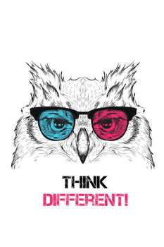 Laminated Think Different Hipster Owl in Colored Glasses Bird Pictures Wall Decor Beautiful Art Wall Decor Feather Prints Wall Art Nature Wildlife Animal Bird Prints Poster Dry Erase Wall Art 24x36
