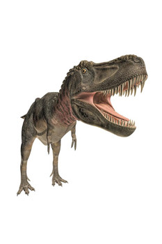 Laminated Tarbosaurus Dinosaur Attacking Illustration Dinosaur Poster For Kids Room Dino  Bedroom Dinosaur Decor Dinosaur  For Wall Dinosaur Wall Art Print Poster Dry Erase Wall Art 24x36