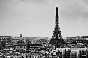 Laminated View of the City Eiffel Tower Paris France Black and White B&W Photo Photograph Poster Dry Erase Sign 36x24