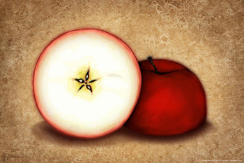 Laminated Apple by Brigid Ashwood Art Print Poster Dry Erase Wall Art 24x36