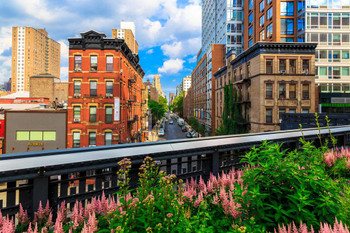 Laminated High Line Park Greenway Rail Trail Manhattan New York City NYC Photo Photograph Poster Dry Erase Wall Art 36x24