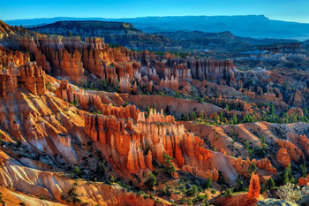 Laminated Bryce Canyon National Park Photo Photograph Poster Dry Erase Wall Art 36x24