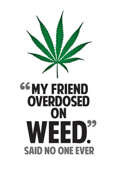 Laminated Marijuana My Friend Overdosed On Weed Said No One Ever College Humor Poster Dry Erase Sign 24x36