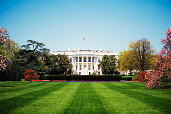 Laminated The White House Washington DC South Lawn Photo Photograph Poster Dry Erase Sign 36x24