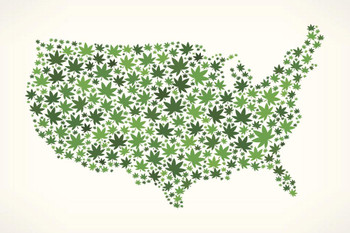 Laminated United States USA Map on Weed Poster Dry Erase Wall Art 36x24
