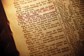 Laminated Closeup of Bible Verse Proverbs 35 Trust in the Lord Art Print Poster Dry Erase Wall Art 36x24